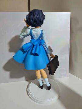 Akane Tendo (19 Pieces), Finished August 2025